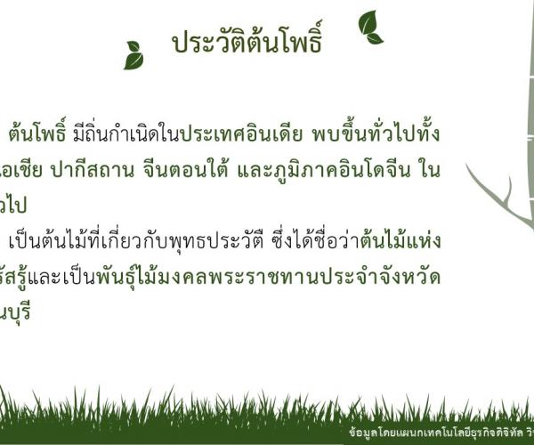 โพธิ์