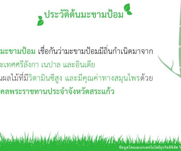 มะขามป้อม