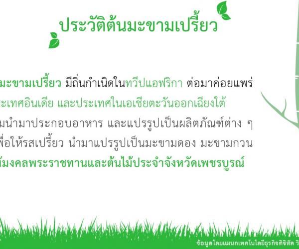 มะขามเปรี้ยว