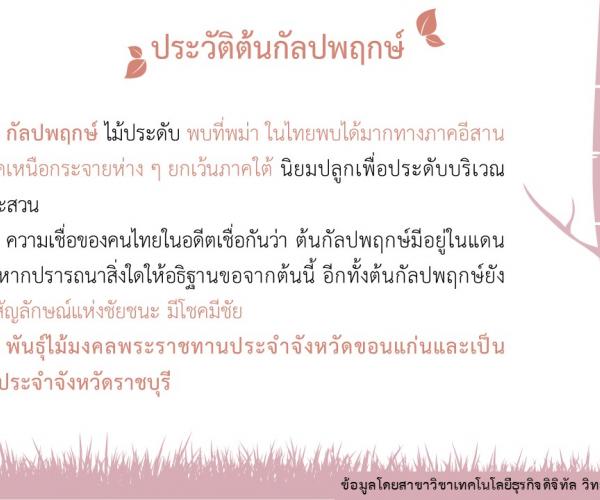 ต้นกัลปพฤกษ์